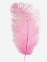 Kód: 39002 Strucctoll 25-30 cm hosszú -  / 39002